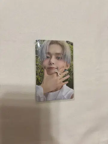 starkissed 영준 popup 포토 카드 트레이딩 카드 txt