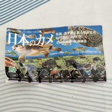 네이처 테크니컬러 일본의 거북 니혼스폰