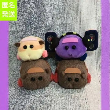 모루카르 피타레스트