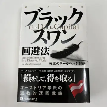 블랙스완 회피법 극북의 테일 헤지 전략