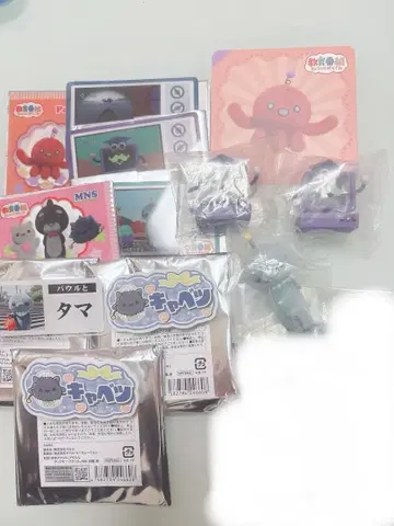 교육 방송 타마 파울 박사