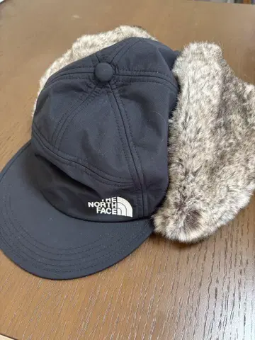 THE NORTH FACE 플라이트 캡 퍼 포함 배드랜드 캡