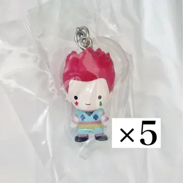 헌터헌터 히소카 메지루시 액세서리 5개