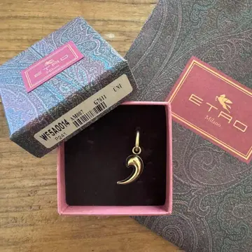 [ 완판템 ] ETRO 페이즐리 귀걸이 (한쪽만)