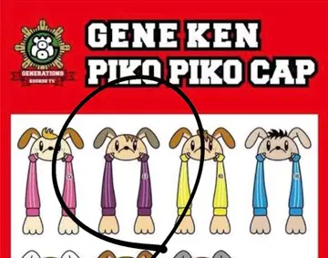 GENE견 피코피코 캡 시라하마 아란