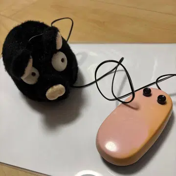 리모컨 블래키 주간 영 매거진 이와야