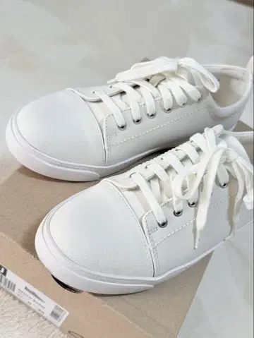 Clarks Clarks Glove Echo 가죽 24.5cm