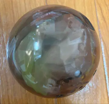 생물대도감 (에라푸스 호소아카사슴벌레 [그린])