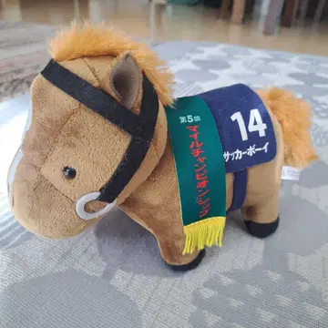 [ 경마 ] 서러브레드 봉제 인형 축구 보이