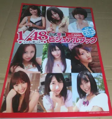 1/48 공식 공략 비주얼 북