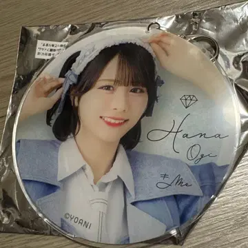 노이메 꼬기 하나 빅상 아크링 키링 여름이 왔으니까