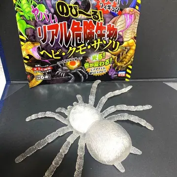 쭉 늘어나는 리얼 위험 생물 뱀 거미 전갈 클리어 바디