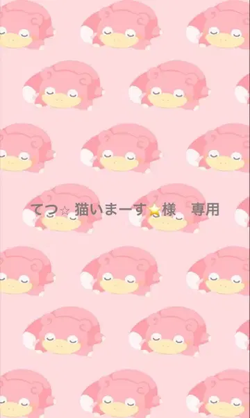 테츠 고양이 있습니다