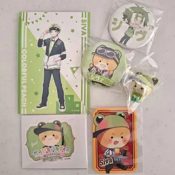 컬러풀 피치 시바 캔뱃지 마중 기다림 스티커 브로마이드