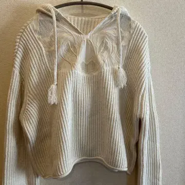 그레이스 콘티넨탈 자수 니트 후드티