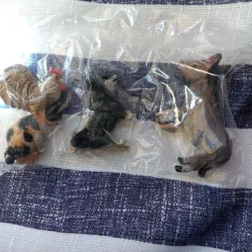 하시모토 미오의 브레멘 음악대