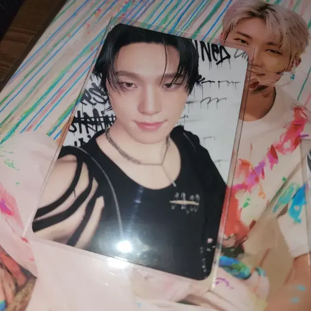 세븐틴 디노 데어데빌 캐럿반 포카 양도