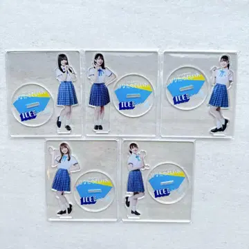 새상품 아이스박스 히나타자카46 히나타의 사시이레 아크릴 스탠드