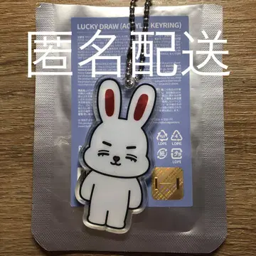 seventeen 아크릴 키링 에스쿱스