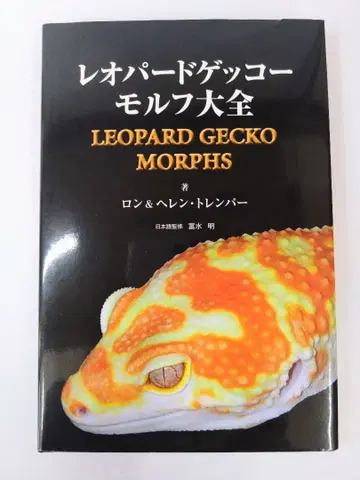 레오파드게코 모프 대전