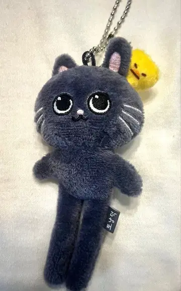 RIIZE 발길이 키링 원빈 냥독