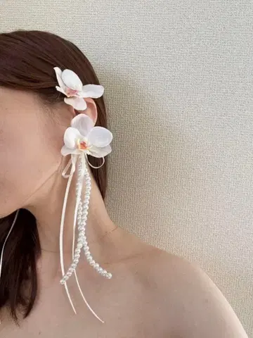 팔레놉시스 이어커프