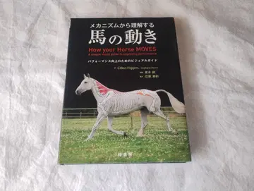 메커니즘으로 이해하는 말의 움직임