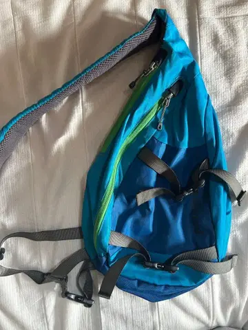 Patagonia 숄더백 파랑