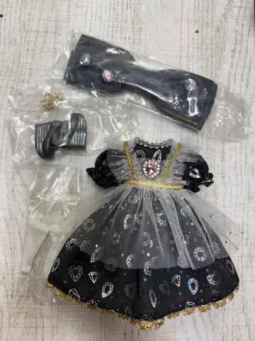 브라이스 비쥬 브릴리언트 아웃핏