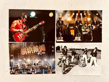 요코하마 긴죠 L판 16장 세트