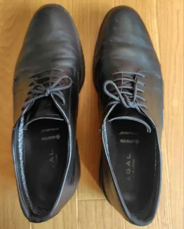 REGAL 340CL.BD 27EEE 가죽 신발 수선용