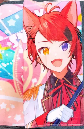 스토푸리 리이누군 픽처 타월