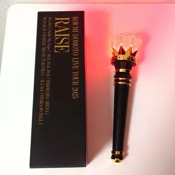 KOICHI DOMOTO LIVE TOUR 2025 RAISE 응원봉