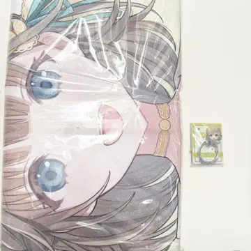 에이리사 GIGO 세트