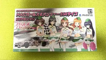 후지미 NAC 걸즈&팬츠 S14 실비아