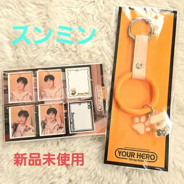 StrayKids 츄리링풍 키링 퍼피 커스텀 키링 세트