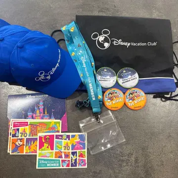디즈니 베케이션 클럽 세트