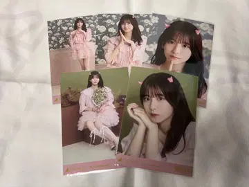 노기자카46 스가와라 사츠키 브로마이드 할로윈 2025 개별 5장