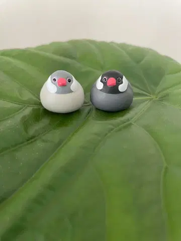 코드의 새 가챠가챠