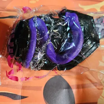 멜로 조이 밤의 고성 시리즈