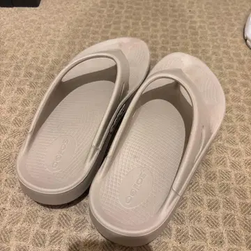 워포스 24~24.5 [중고]