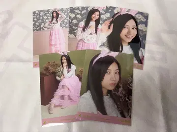 노기자카46 카와바타 아키나 브로마이드 할로윈 2025 개별 5장