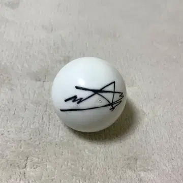 NCT 마크 사인공