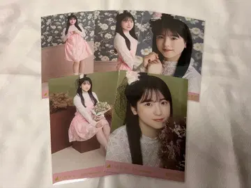 노기자카46 스즈키 유나 브로마이드 할로윈 2025 개별 5장