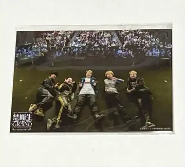 금단생 그랜드 챔피언쉽 야간 공연 브로마이드 DVD 조기 예약 특전