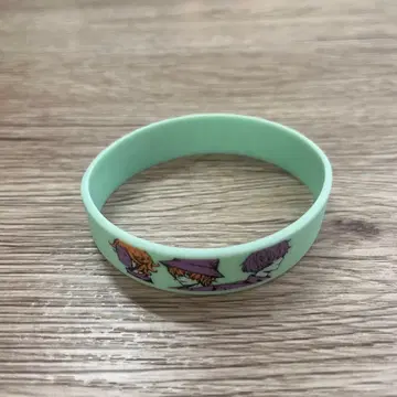 Eve 회인 투어 러버 밴드 민트