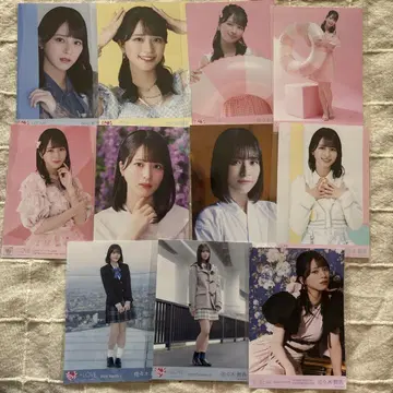 사사키 마이카 브로마이드 장미 묶음 판매