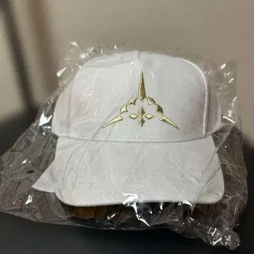 Fate/GrandOrder 아르토리아 캐스터 캐스트리아 모자