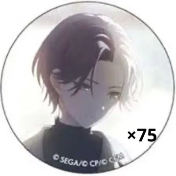 프로세카 글리터 캔뱃지 5a 아오야기 토야