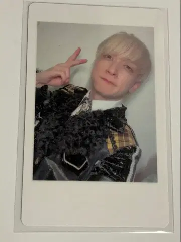 팬더드래곤 요타 하피카